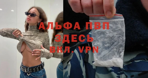 ПСИЛОЦИБИНОВЫЕ ГРИБЫ Ельня